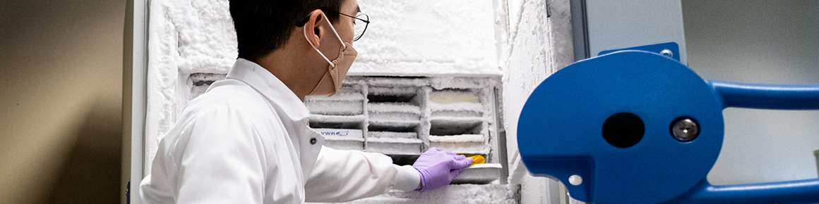 A doctoral student shows a scaffold of fat cells grown in the Cellular Agriculture lab.