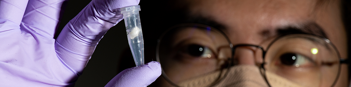 A doctoral student shows a scaffold of fat cells grown in the Cellular Agriculture lab.