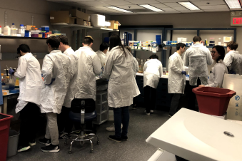 Undergraduate students work in the lab during BME 174 course.
