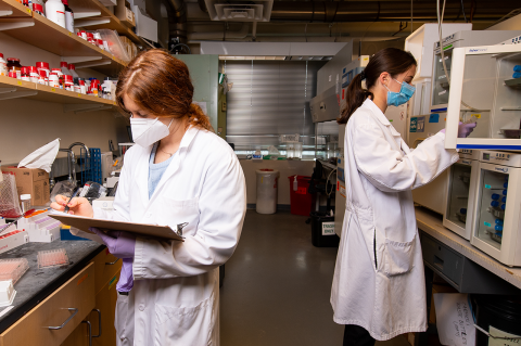 Students working in the Cellular Agriculture Lab at Tufts University.